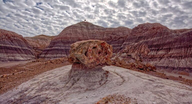 petrified-national-forest-painted-desert
